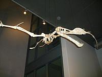 S6000142 800x600