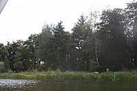 IMG 0054 800x533