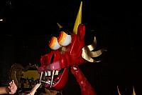 IMG 0144 800x533