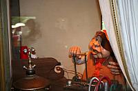 IMG 0166 800x533