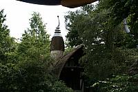 IMG 0183 800x533