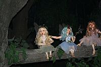 IMG 0202 800x533
