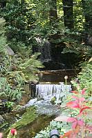 IMG 0211 400x600