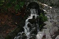 IMG 0213 800x533