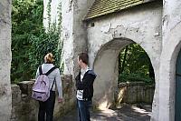 IMG 0216 800x533