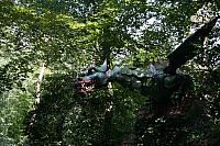 IMG 0252 800x533