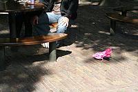 IMG 0270 800x533