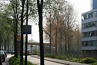 20090413 373 800x533