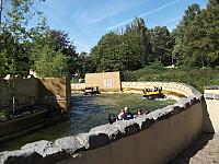 DSCF0504 800x600