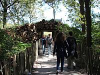 DSCF0509 800x600