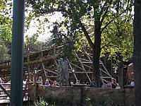 DSCF0551 800x600