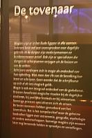 IMG 0748 800x533