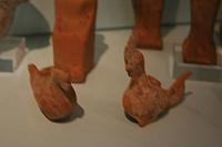 IMG 0821 800x533