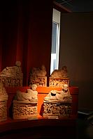 IMG 0888 800x533