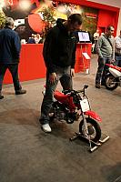 IMG 1204 533x800 400x600