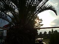 S6000070 800x600