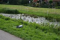 IMG 0281 800x533