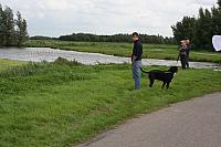 IMG 0291 800x533
