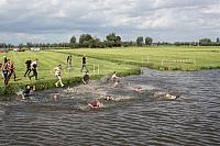 IMG 0312 800x533