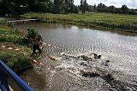 IMG 0330 800x533
