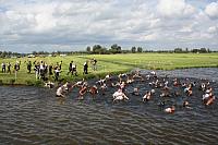 IMG 0332 800x533