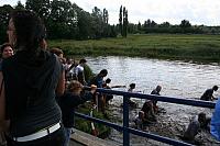 IMG 0369 800x533
