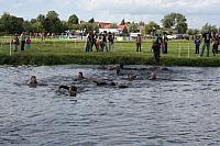 IMG 0409 800x533