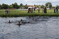 IMG 0410 800x533