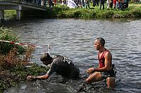 IMG 0433 800x533