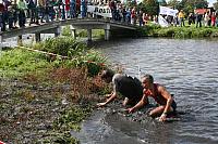 IMG 0434 800x533