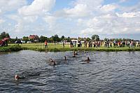 IMG 0457 800x533