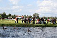 IMG 0500 800x533
