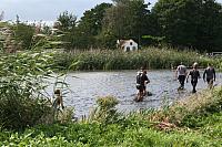 IMG 0531 800x533