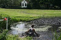 IMG 0564 800x533