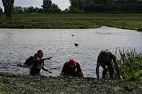 IMG 0569 800x533