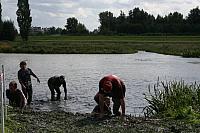 IMG 0570 800x533