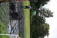 IMG 0590 800x533