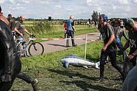 IMG 0626 800x533
