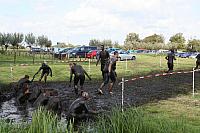 IMG 0708 800x533
