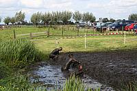 IMG 0756 800x533