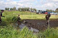 IMG 0782 800x533