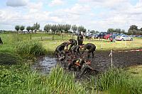 IMG 0824 800x533