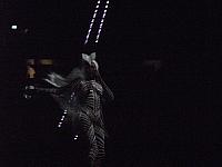 DSCF0740 800x600