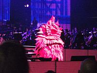 DSCF0779 800x600