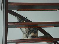 S6000012 800x600