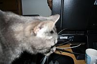 20090621 63 800x533