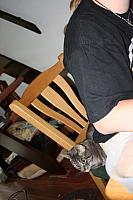 20090621 67 400x600
