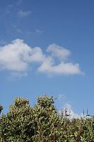 IMG 0178 800x533