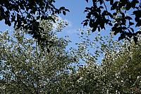IMG 0197 800x533