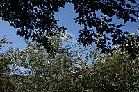 IMG 0198 800x533